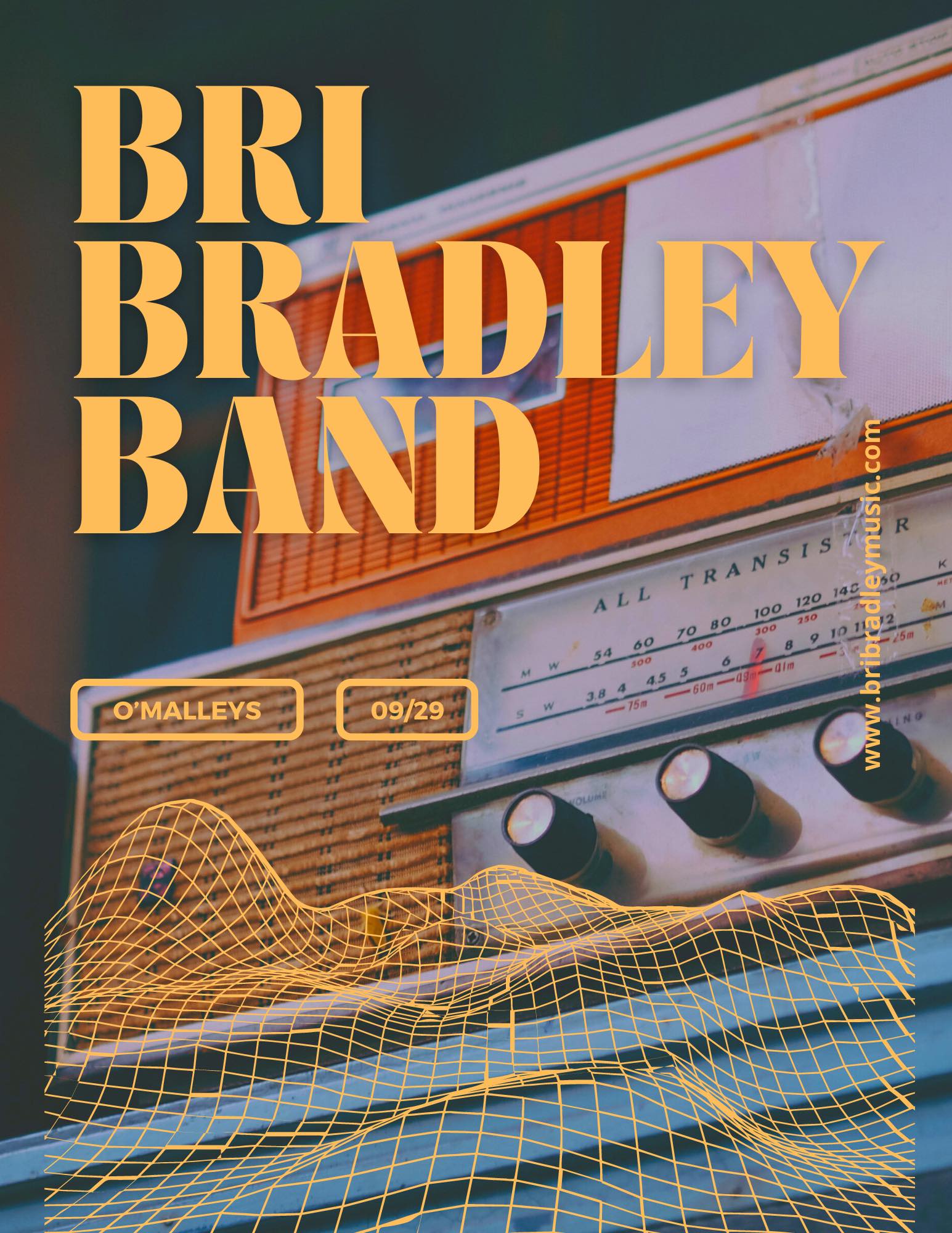 Bri Bradley Band